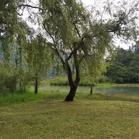 Apartment Tra La Stazione E Il Lago Verbania