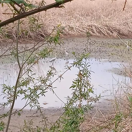 Tra La Stazione E Il Appartement Verbania