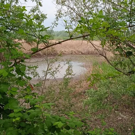 Apartman Tra La Stazione E Il *